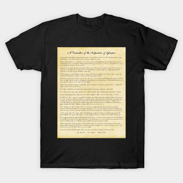 A Declaration of the Independence of Cyberspace T-Shirt by innerspaceboy